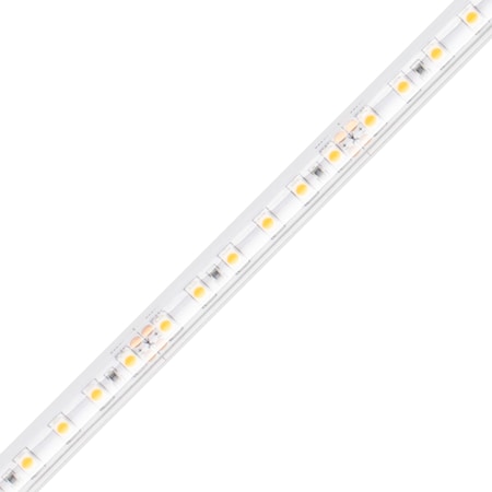 Diode Led 200 Wet Location Strip Light, 24V, 3000K, 16.4 ft. Spool DI-24V-BLBSC2-30-W016